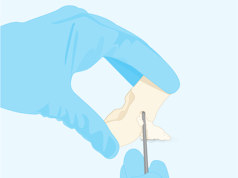 Sequencing ancient DNA