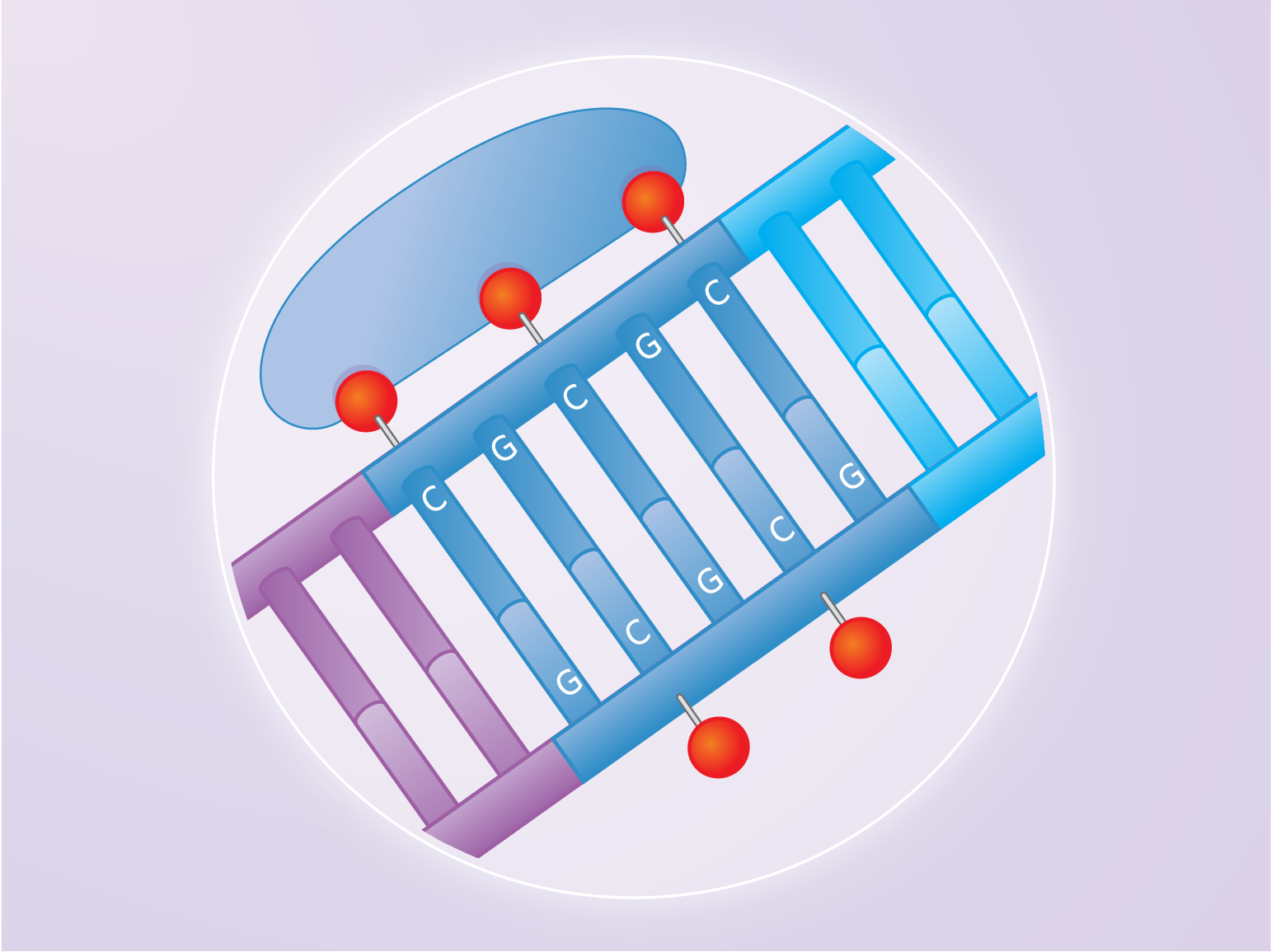 Cancer and the epigenome