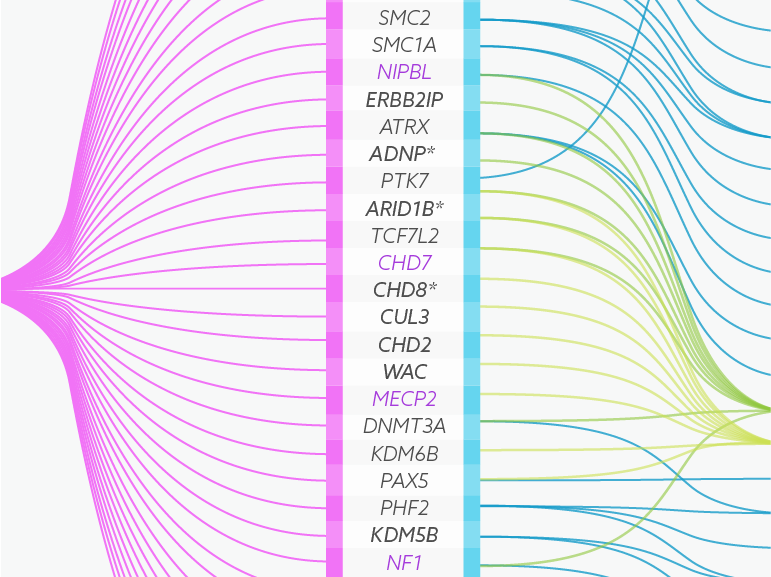 Autism genes have cancer connections