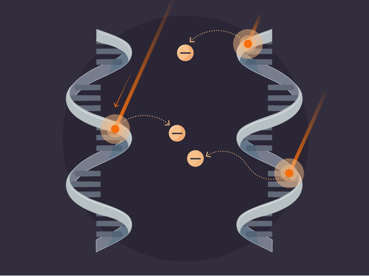 Cosmic Rays May Have Given Life Its Shape