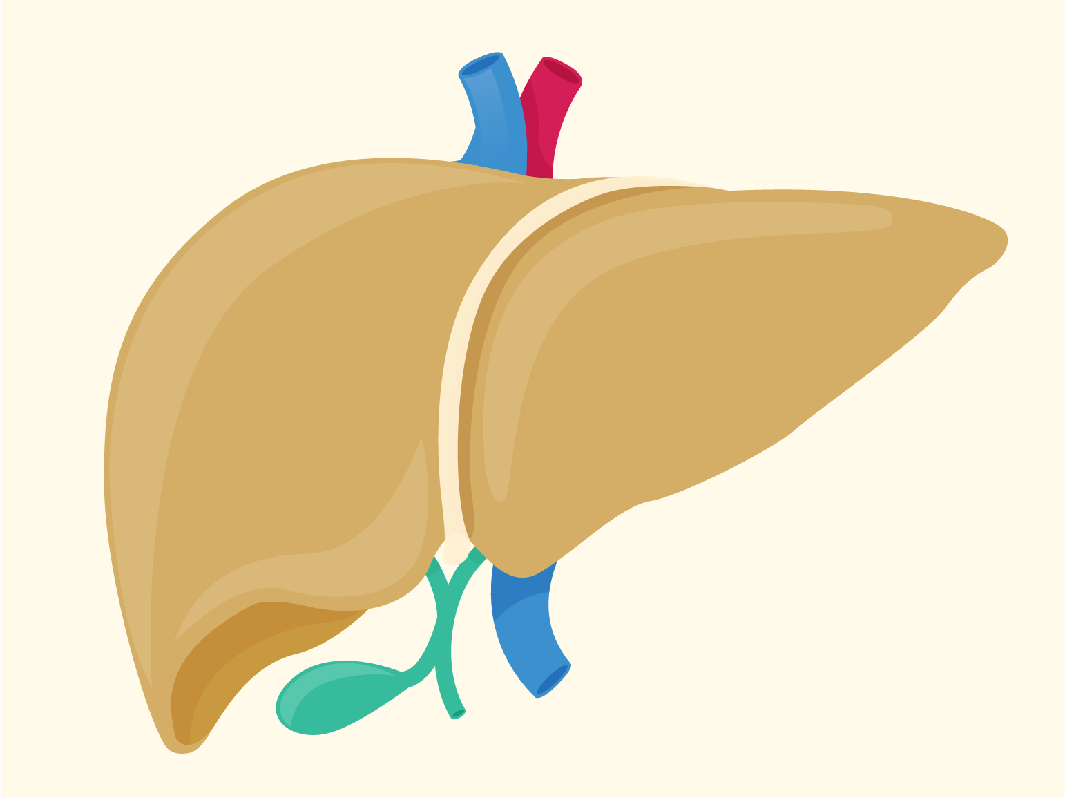 NAFLD