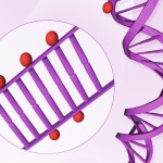 Epigenetics primer