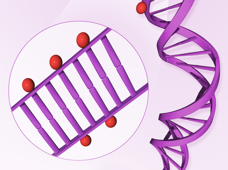 Epigenetics primer