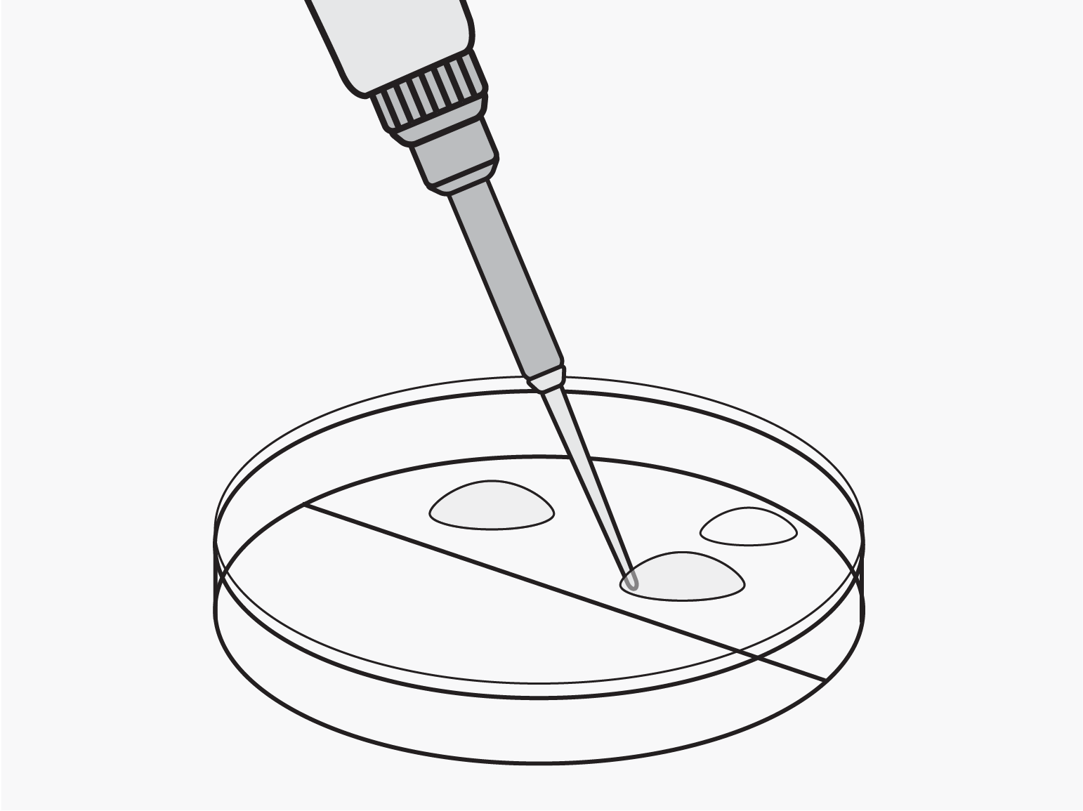 Amgen biotech lab guide