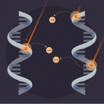 Cosmic Rays May Have Given Life Its Shape